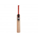 GM Purist Premier Kashmir Willow Cricket Bat